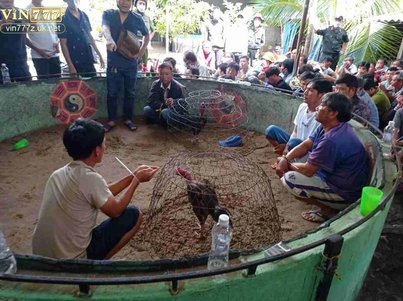 Khám phá top 5 trường gà uy tín hàng đầu hiện nay 3 Tiêu chí đánh giá trường gà uy tín